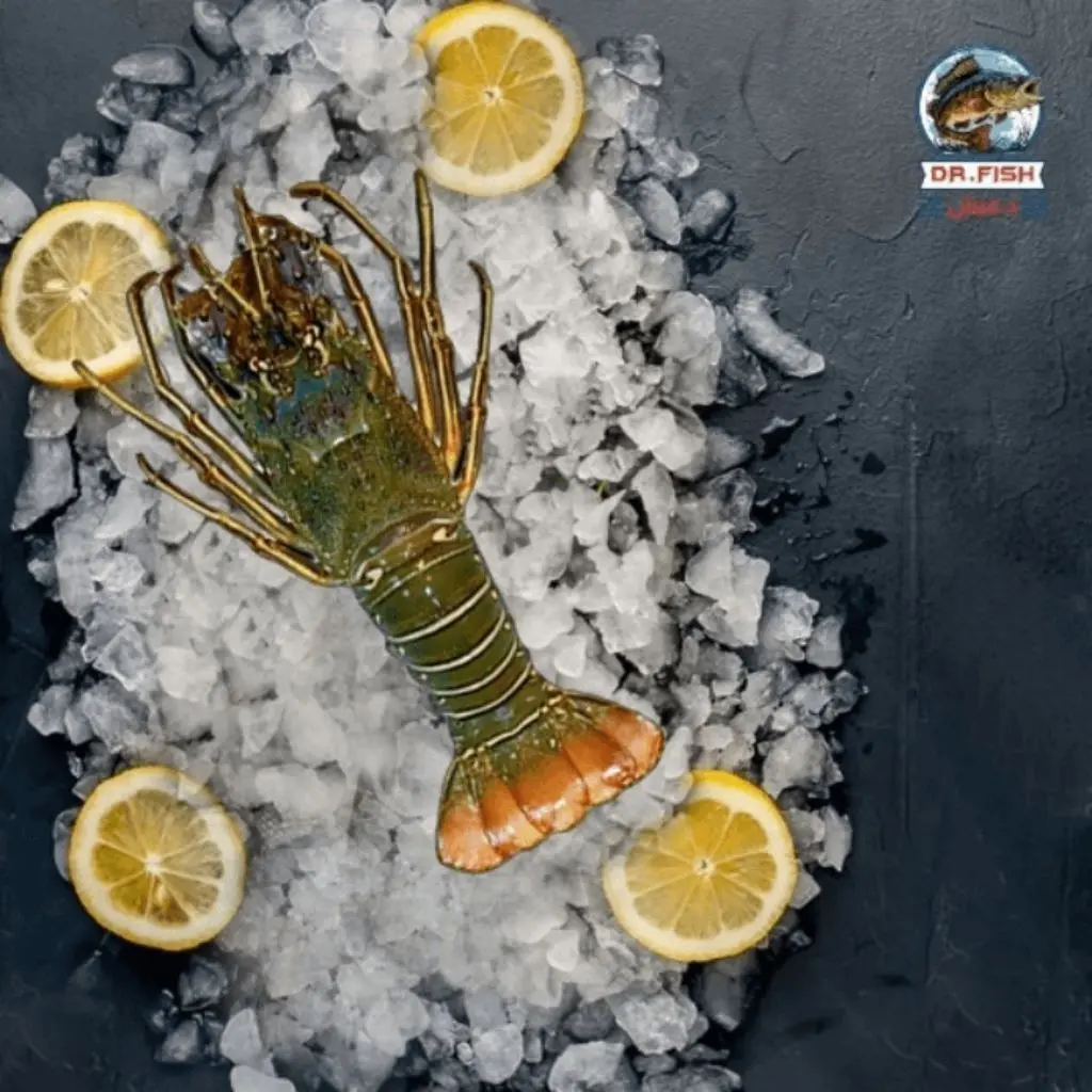 Creme & Cheese Lobster